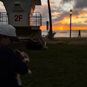 Meet your Posher, Sakura